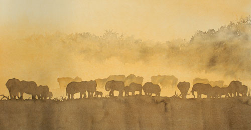 Elephant Dust by Alison Nicholls