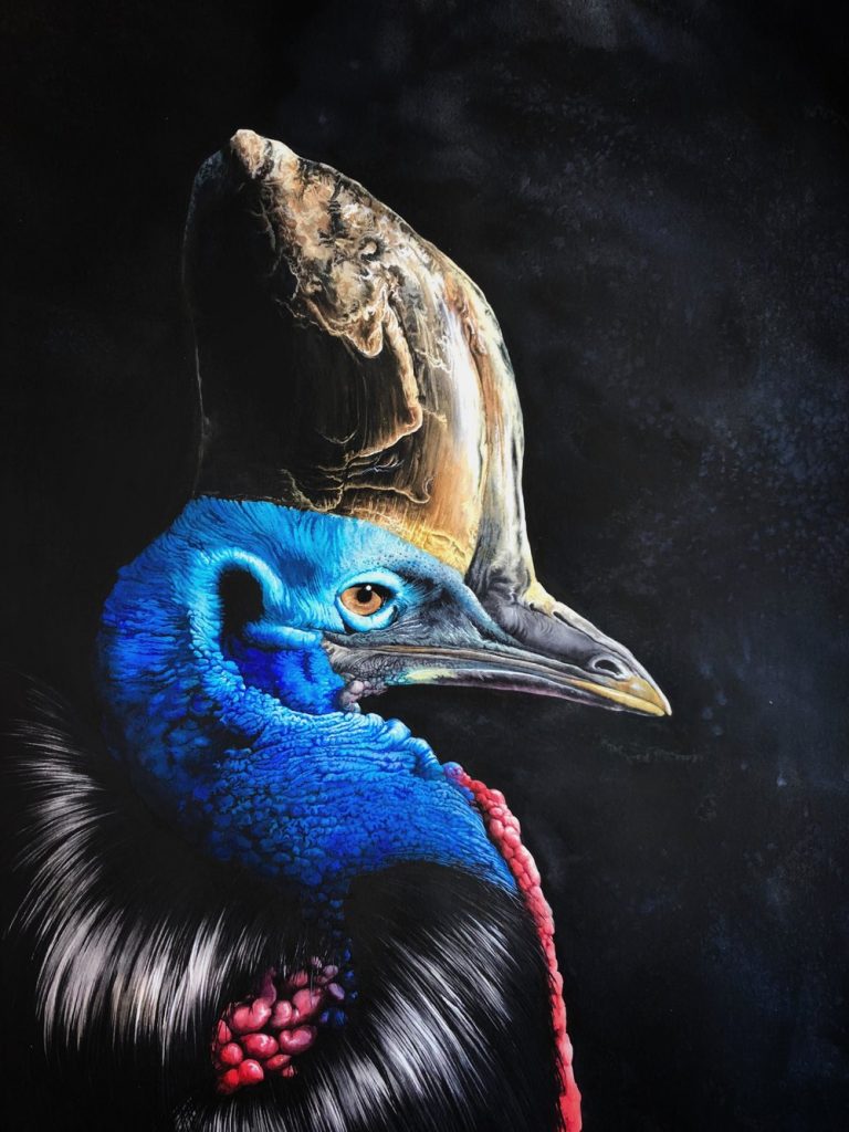 cassowary