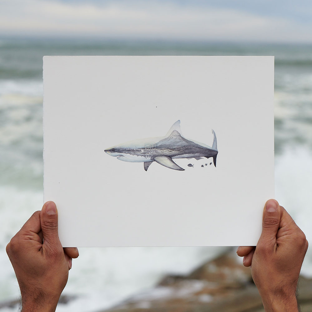 Great White, 100 Year Storm by Sujay Sanan in Capetown, South Africa
